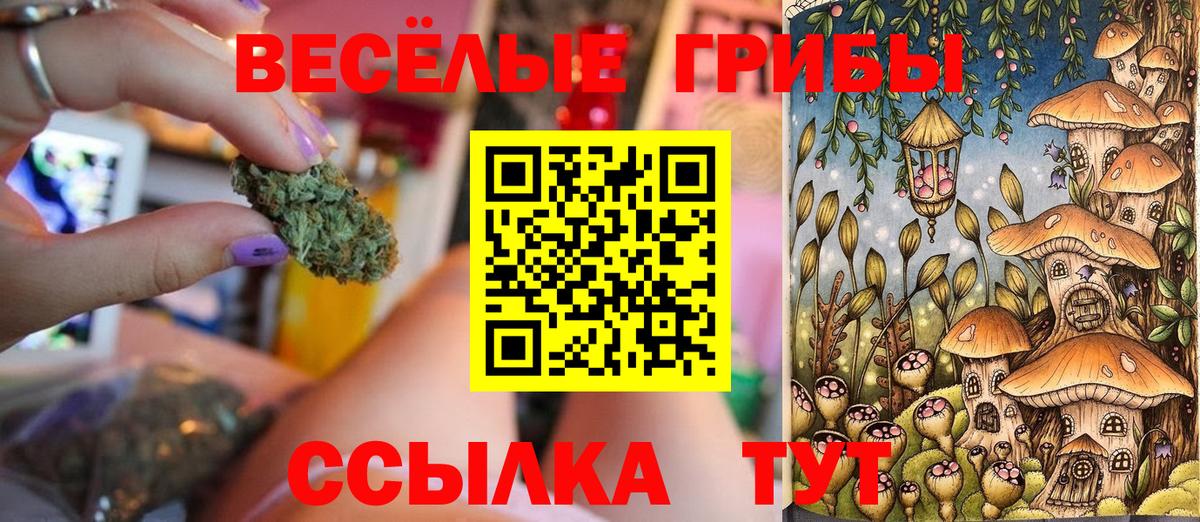 Псилоцибиновые грибы мухоморы  Галлюциногенные грибы Magic Shrooms  Вход с VPN  Советск 